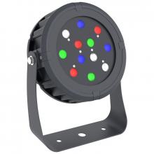 Westgate MFG C1 DMX-FL-36W-RGBW-BT-BK - DMX 512 COMPATIBLE RGBW SERIES