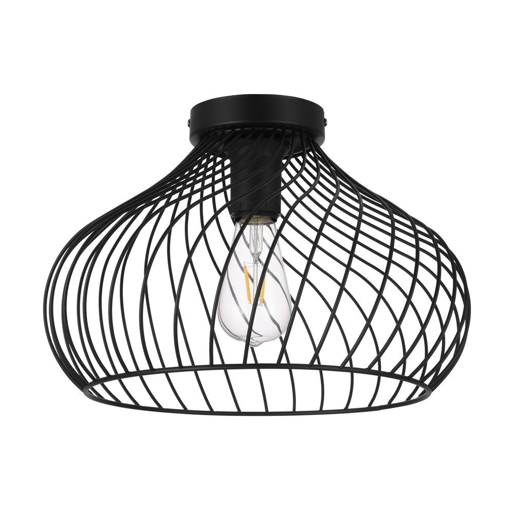 1 LT Wire Ceiling Light w/ Black Finish