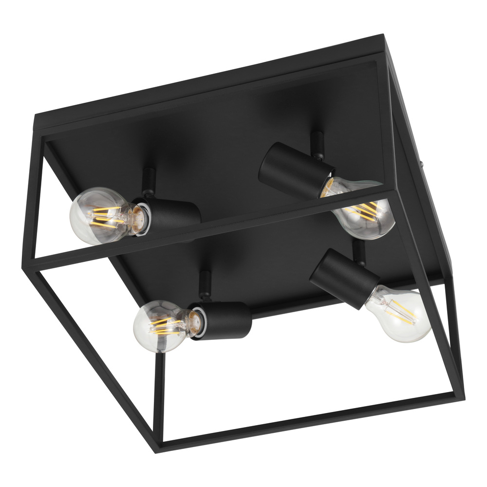 4 LT Ceiling Light w/ Black Finish