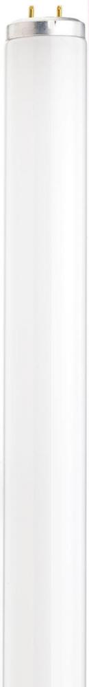 30 Watt; T12; Fluorescent; 3000K Warm White; 52 CRI; Medium Bi Pin base; Shatter Proof