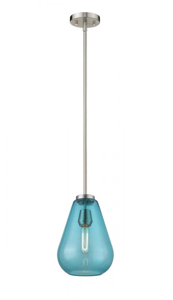 1 Light Pendant