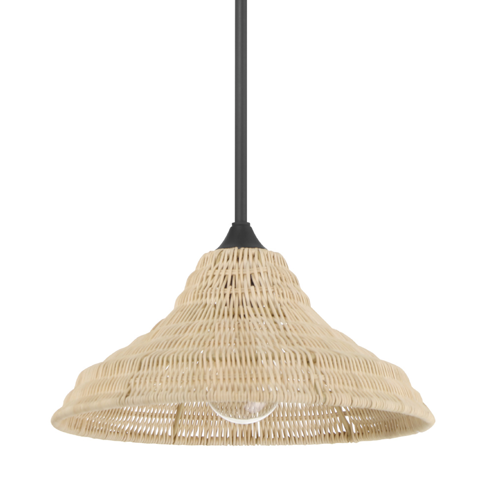Hunter Agoura Matte Black 1 Light Medium Pendant Ceiling Light Fixture