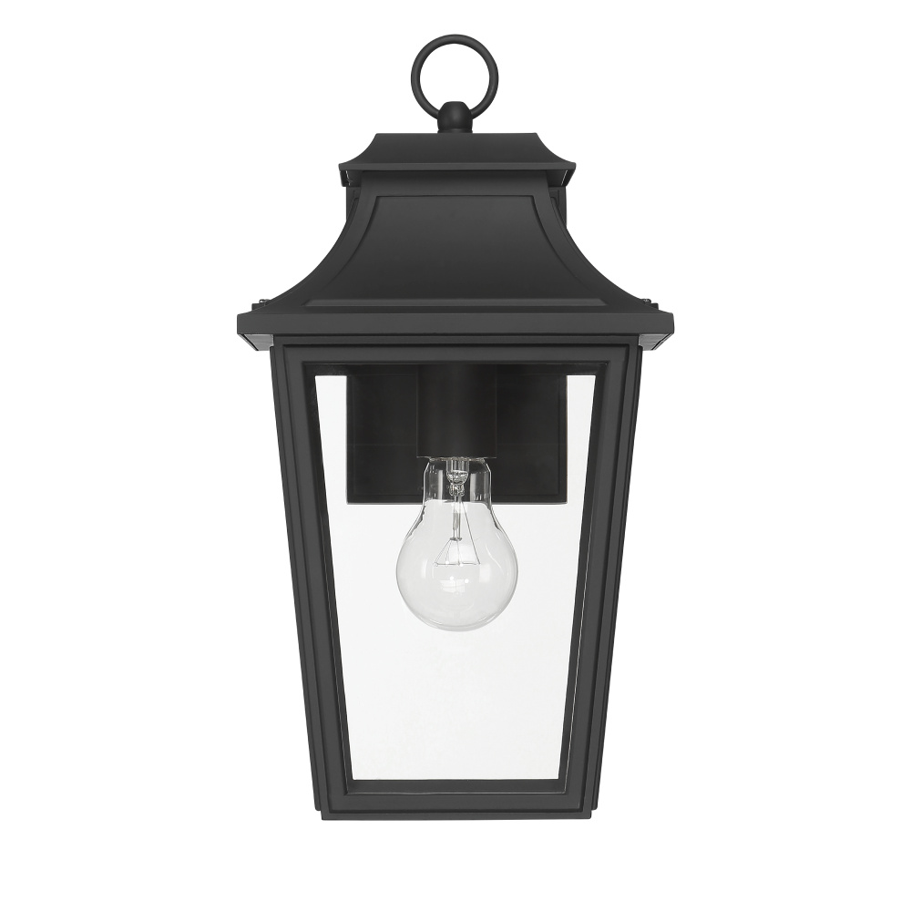 Hunter Spring Cove Outdoor Wall Light - Thumbnail 5