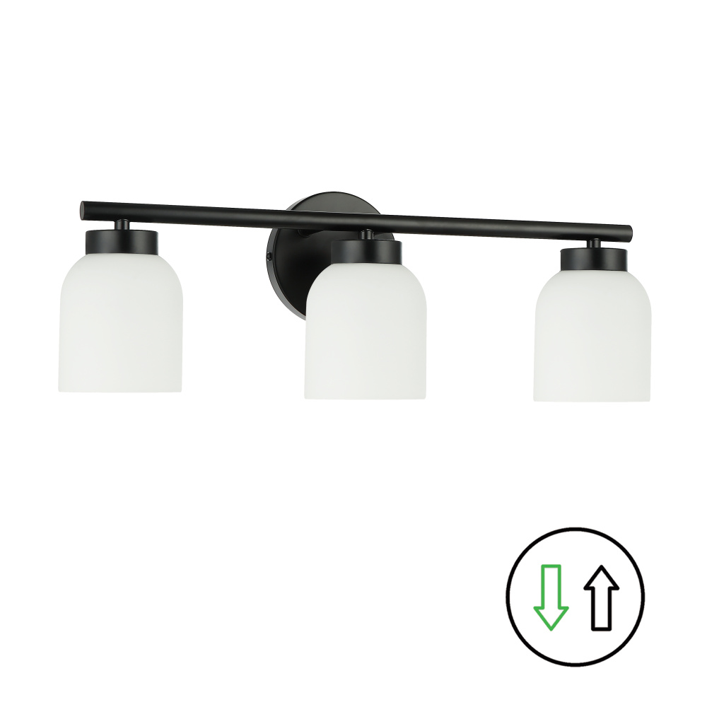 3 Light Matte Black Vanity w/ Opal Glass