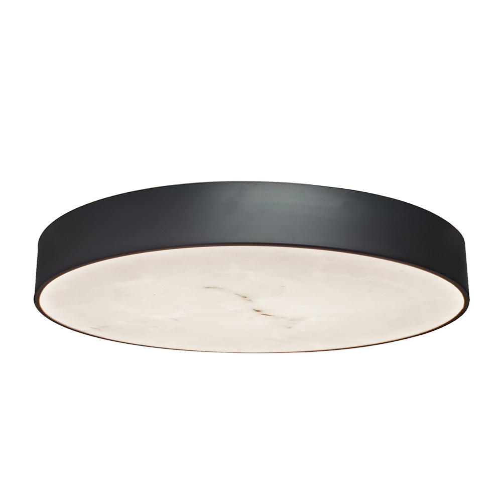 40W Flush Mount in Matte Black w/ Alabaster Diffuser